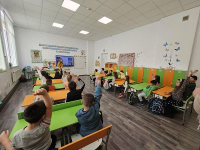 Птиците през зимата 4