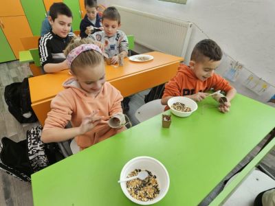 Птиците през зимата 6